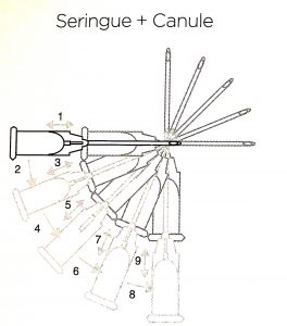 Seringue Canule